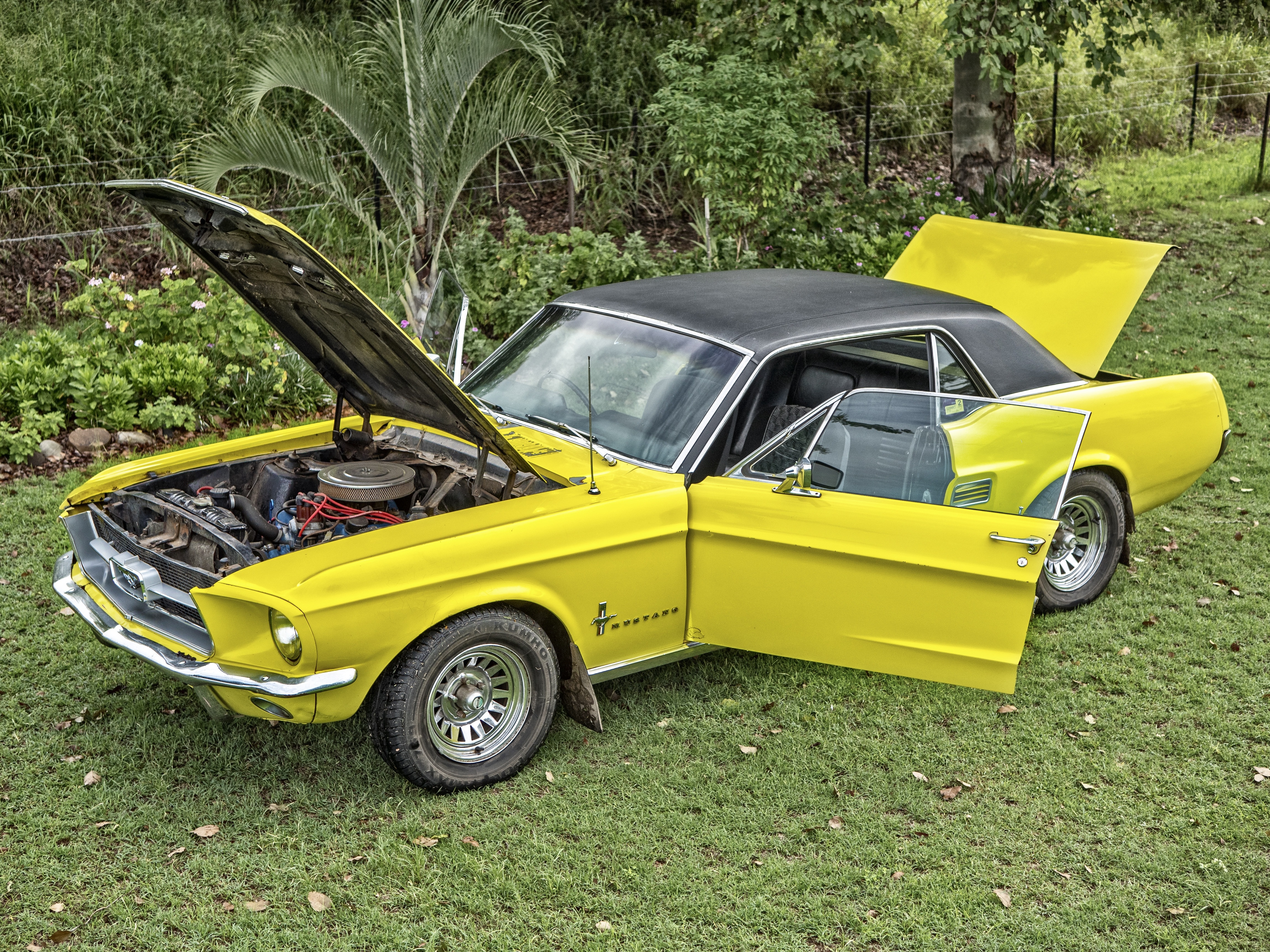 yellow and black Classic Ford Mustang side door open