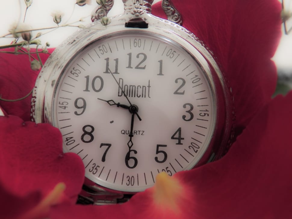 silver domcnt analog pocket watch preview