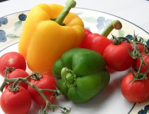 yellow red and green bell peppers with tomatoes  on white and blue ceramic plate thumbnail