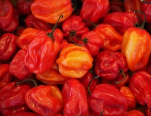 red bell pepper lot thumbnail