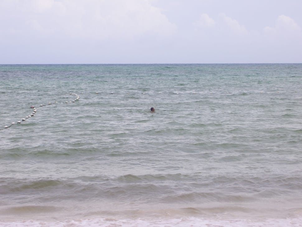 person swimming in the sea during daytime preview