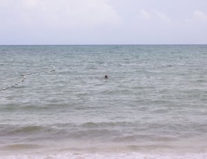 person swimming in the sea during daytime thumbnail