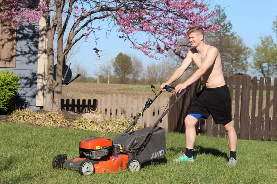 black and red gas powered push lawn mower preview