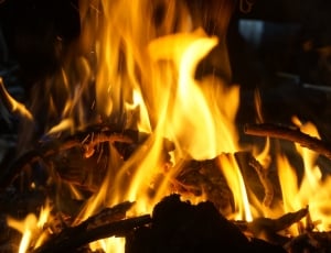 woode bonfire thumbnail