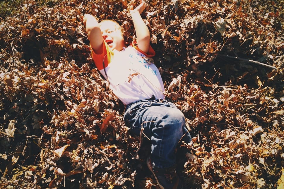 boy in white and orange shirt and blue jeans laying on leafy ground preview