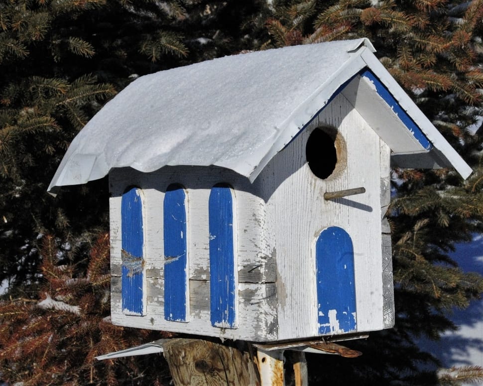 white and blue wooden bird house preview
