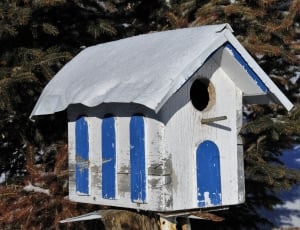 white and blue wooden bird house thumbnail