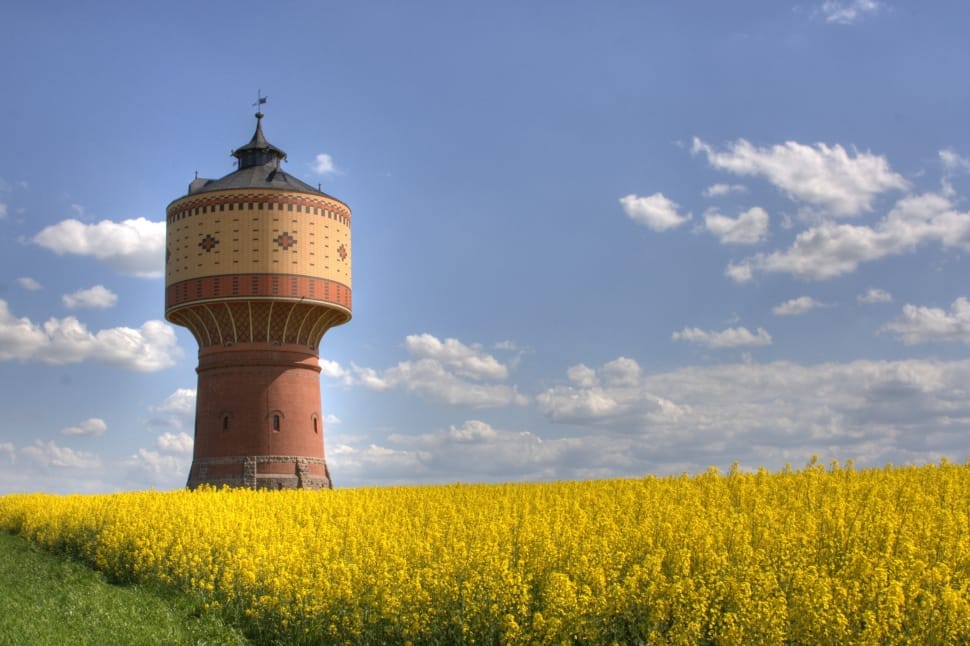 red concrete high rise tower surrounded by yellow flower land preview