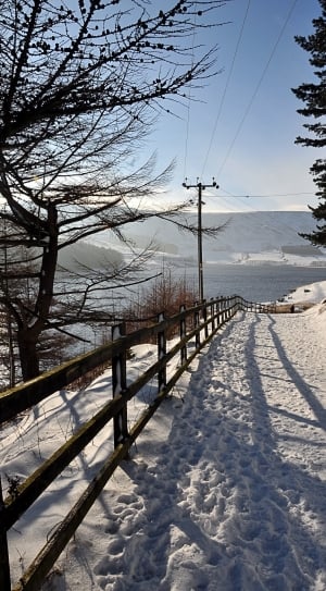 Forest Path, Near Dovestones Reservoir, winter, snow thumbnail