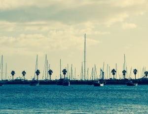 photo of an boat dock during daytime thumbnail
