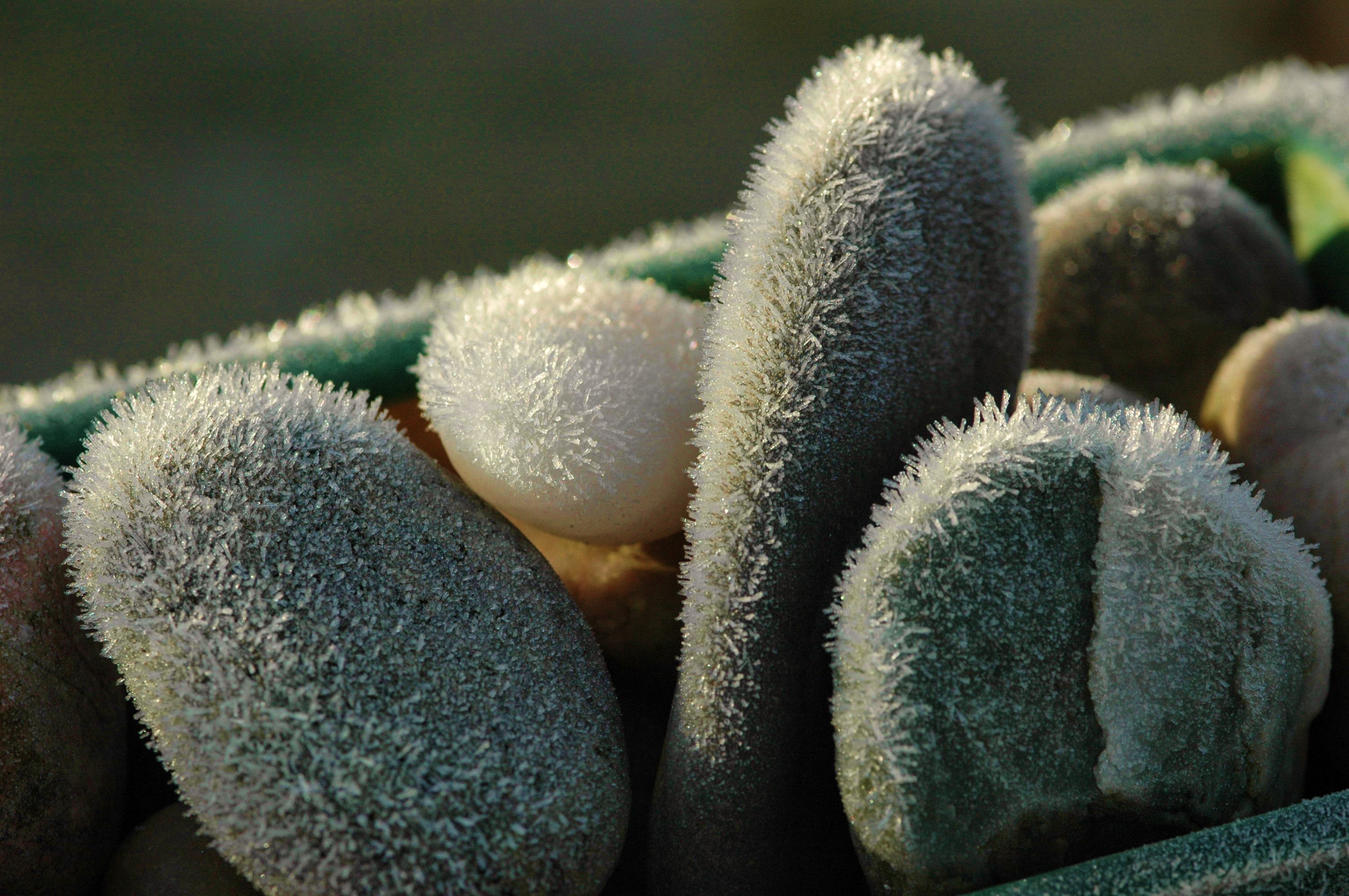 Pebble, Ice, Winter, Cold, Frost, close-up, no people