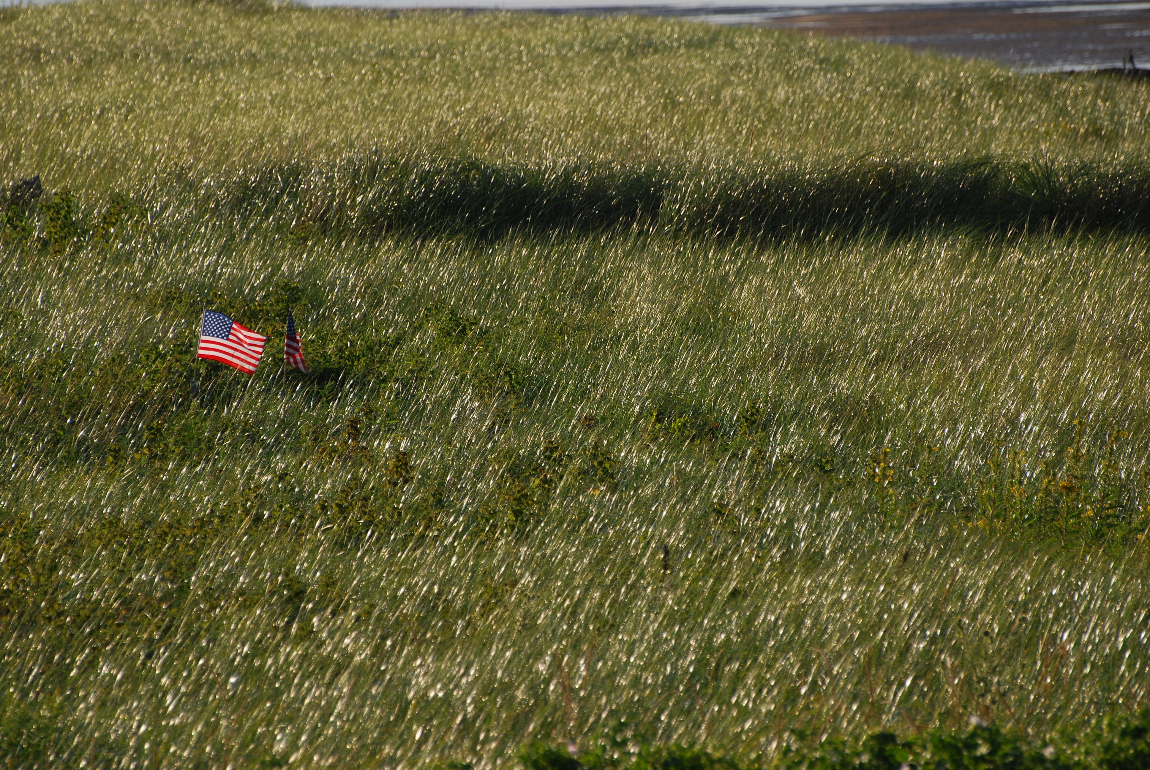 u.s.a. flag in the middle of green grass field during daytime