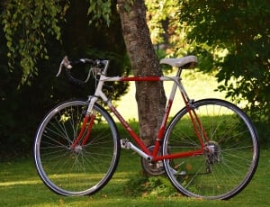 red white and black hardtail drop handle road bike thumbnail