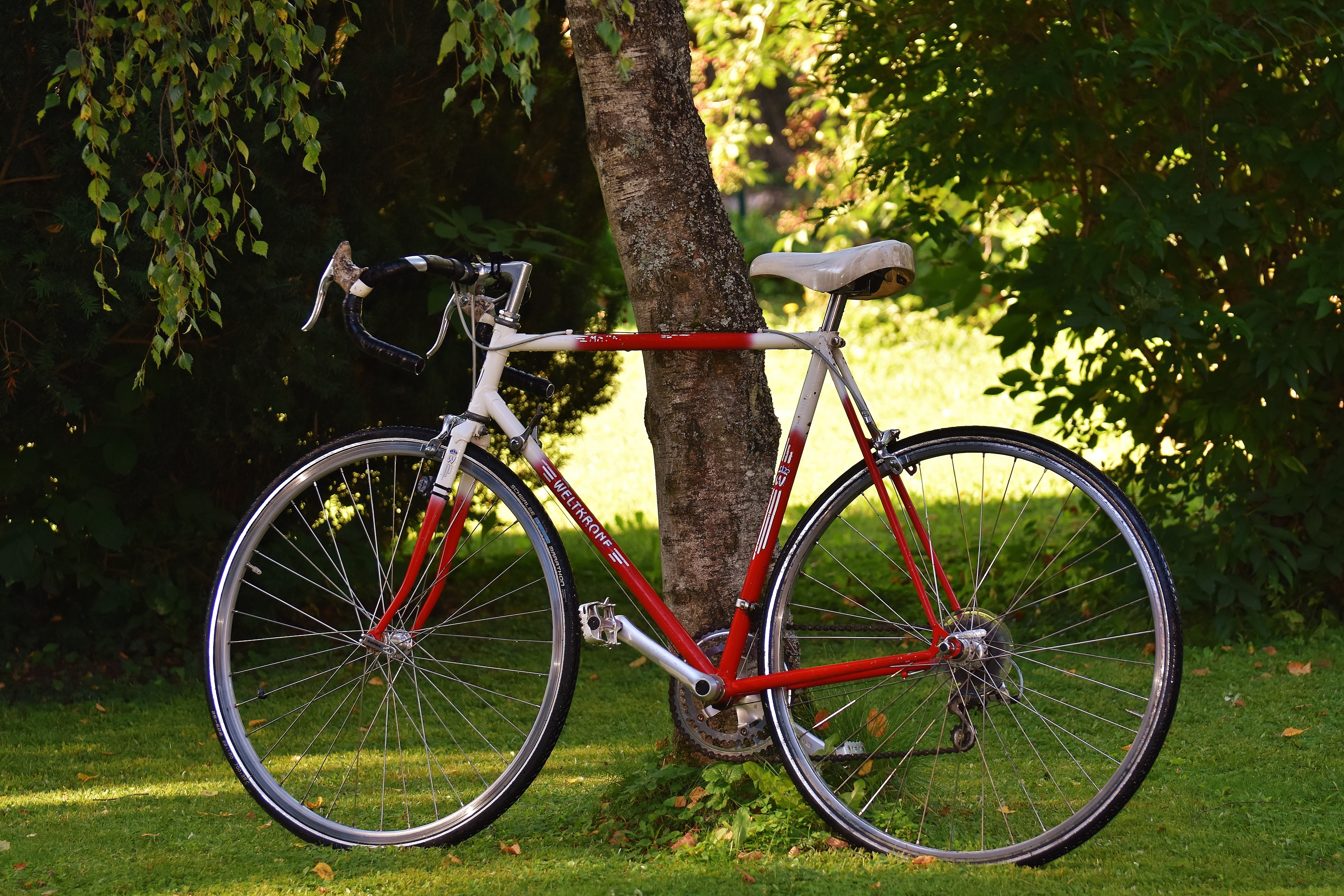 red white and black hardtail drop handle road bike