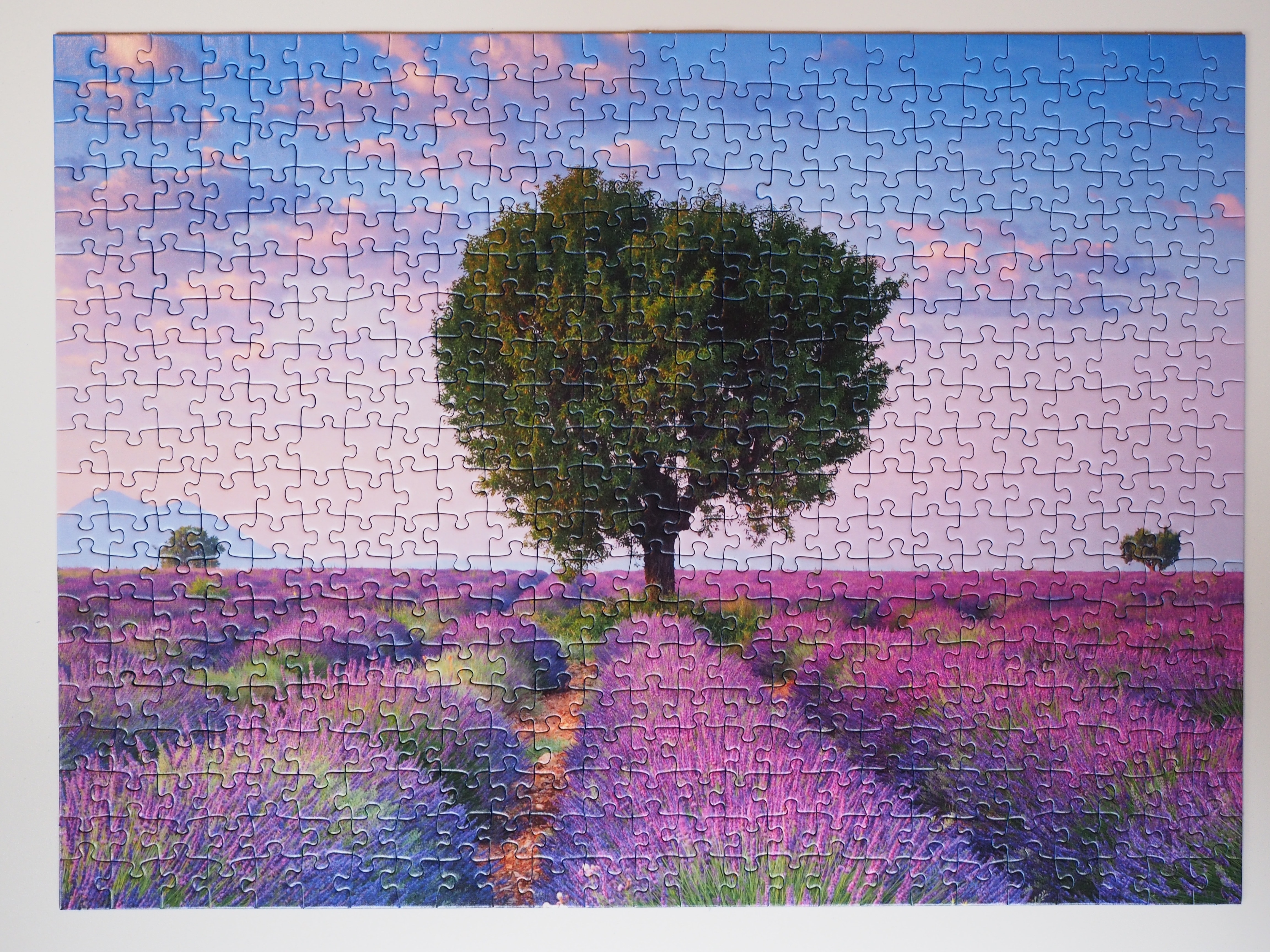 green tree and purple grass field puzzle