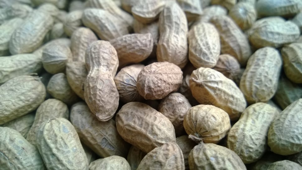 brown peanuts preview
