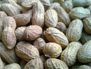 brown peanuts thumbnail