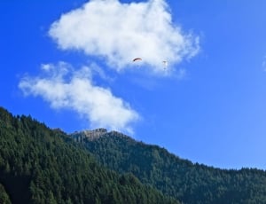 2 person doing paragliding above green trees of mountains under white cloudy blue sky during daytime thumbnail