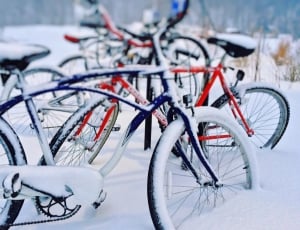 Bicycles, Winter, Snow, Cold, bicycle, cycling thumbnail