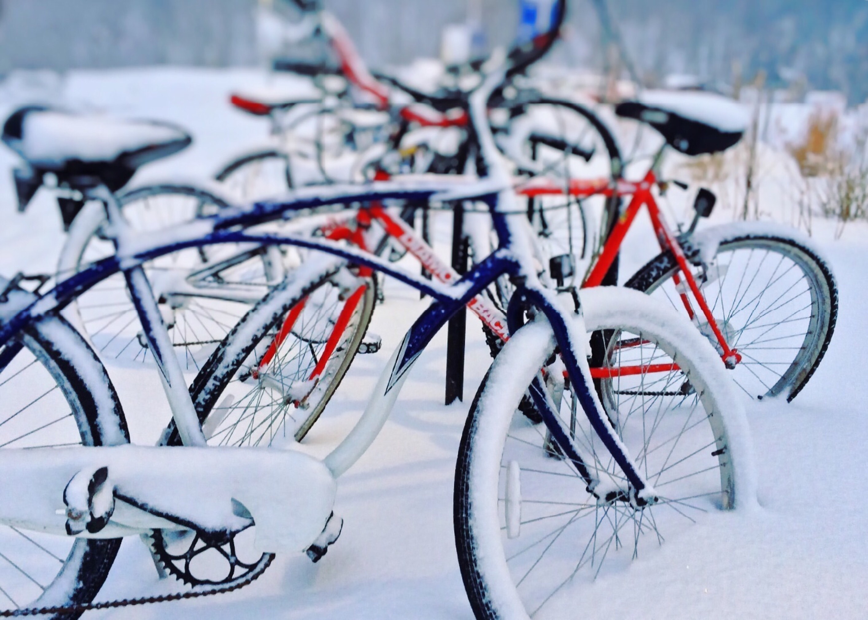 Bicycles, Winter, Snow, Cold, bicycle, cycling