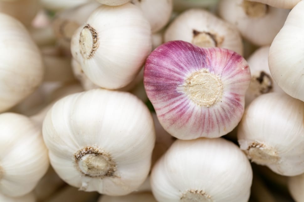 white garlic lot preview