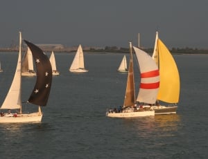eight sailboats on body of water during gloomy weather thumbnail
