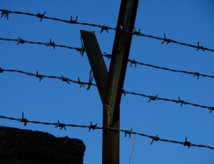 silhouette of barbed wire thumbnail