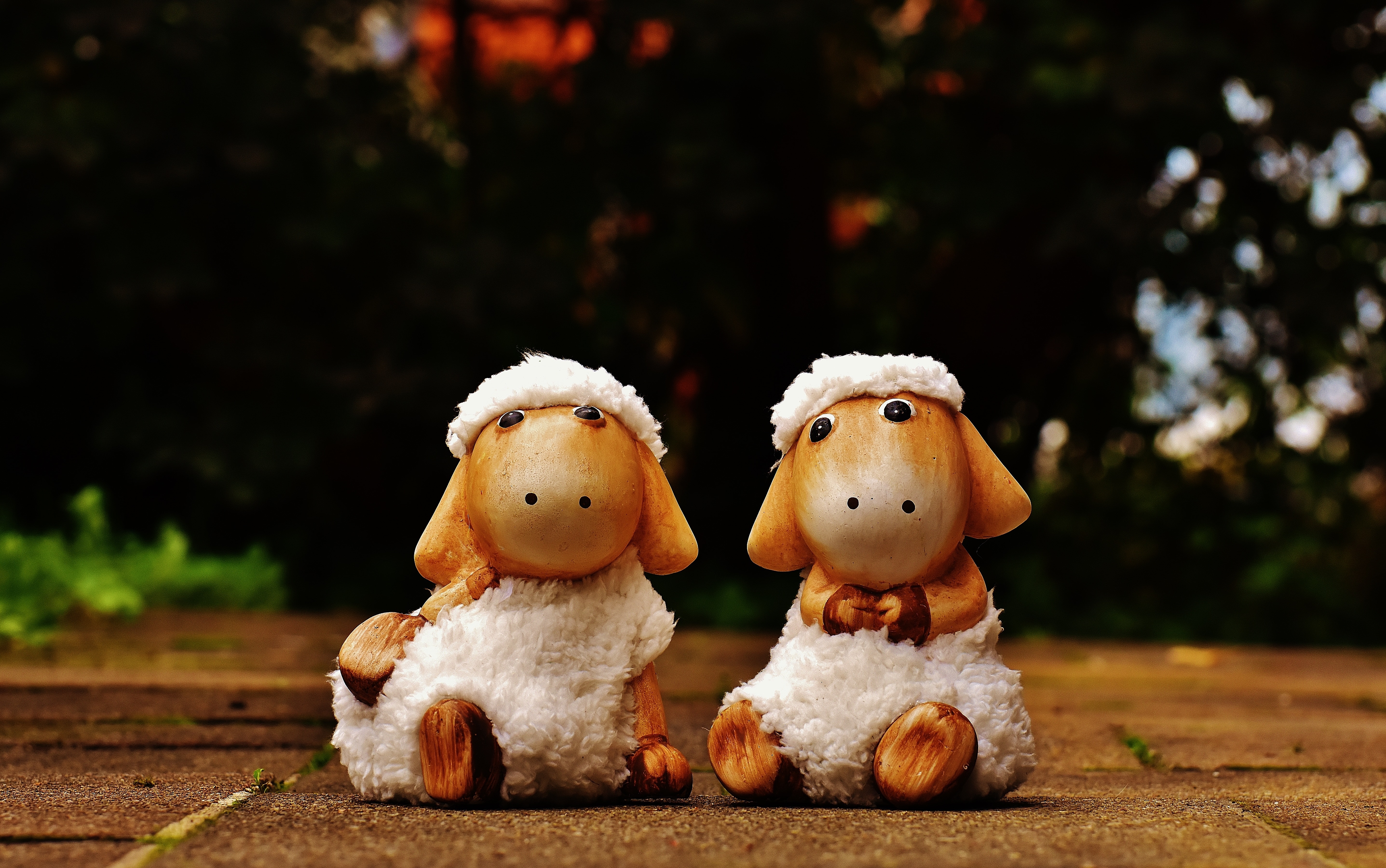 couple sheep character illustration