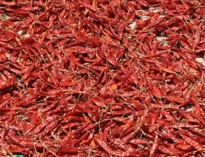 Food, Hot, Pepper, Chilli, Red, Spice, red, full frame thumbnail