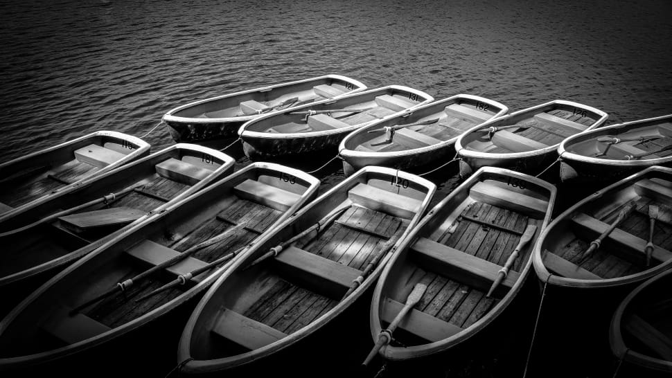 greyscale photo of row boats on body of water preview