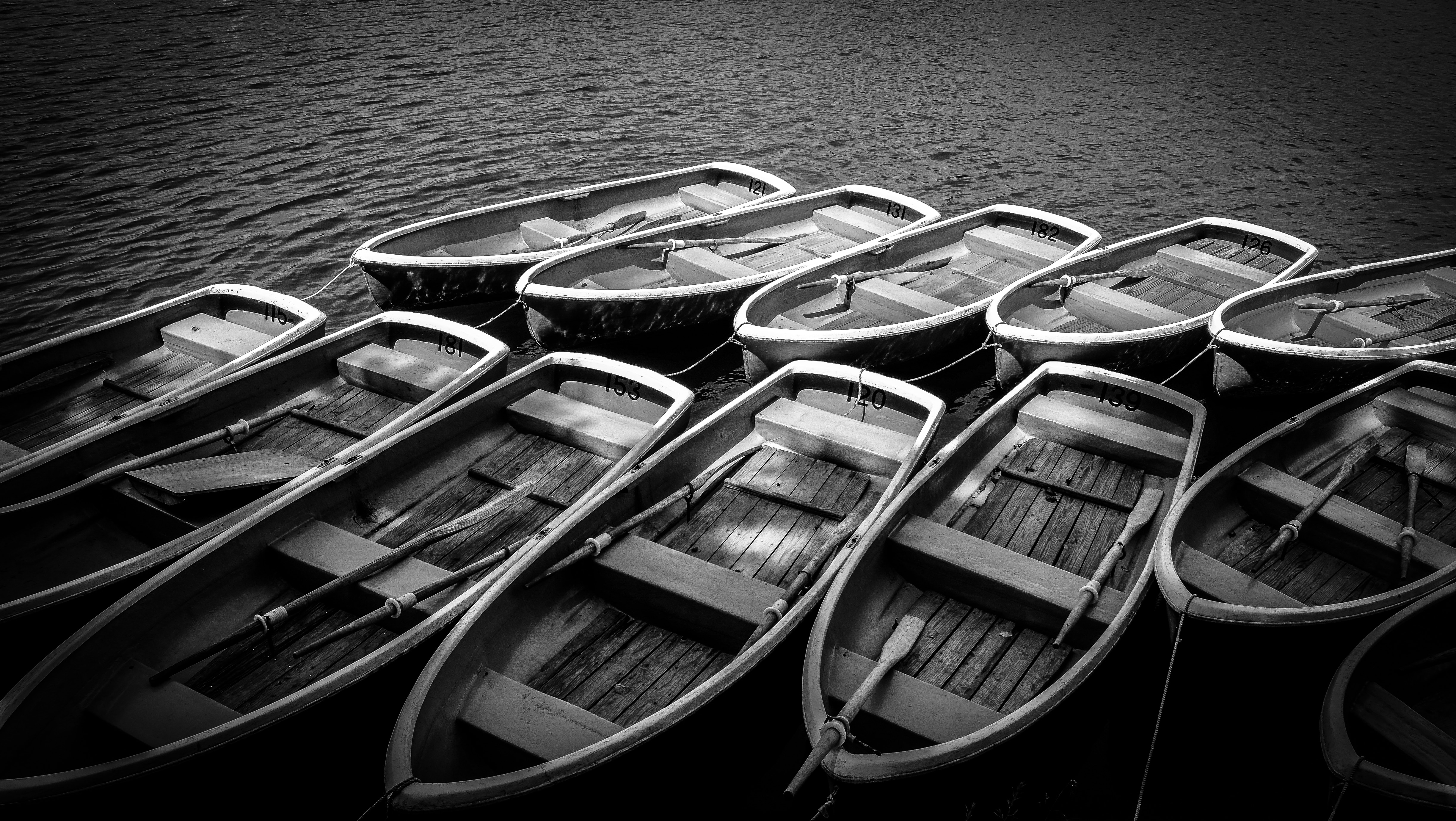 greyscale photo of row boats on body of water