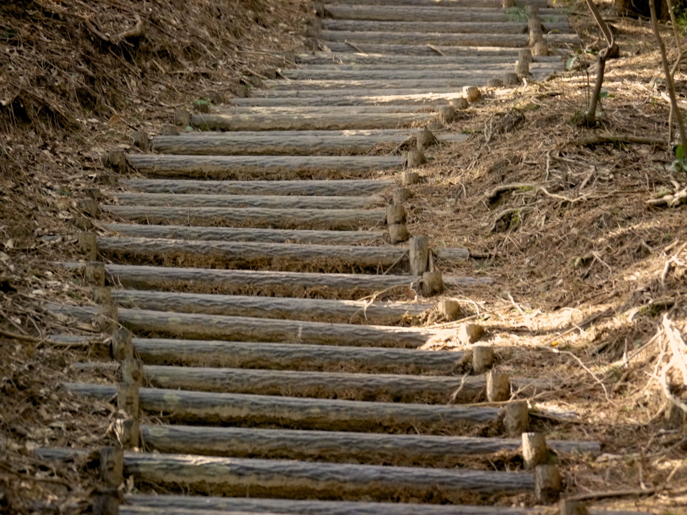 brown and gray stair