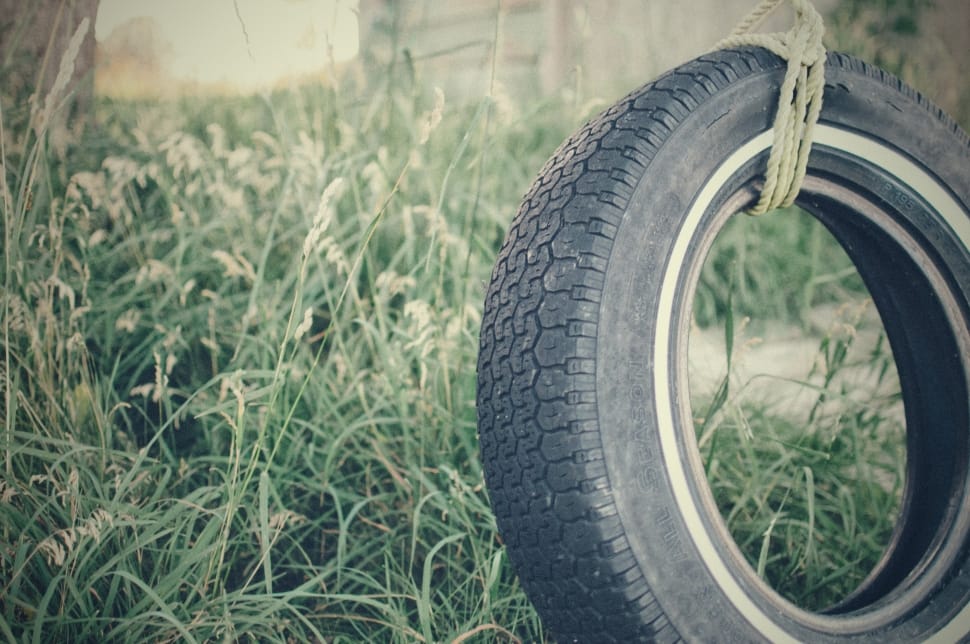 swing car tire beside green grasses preview