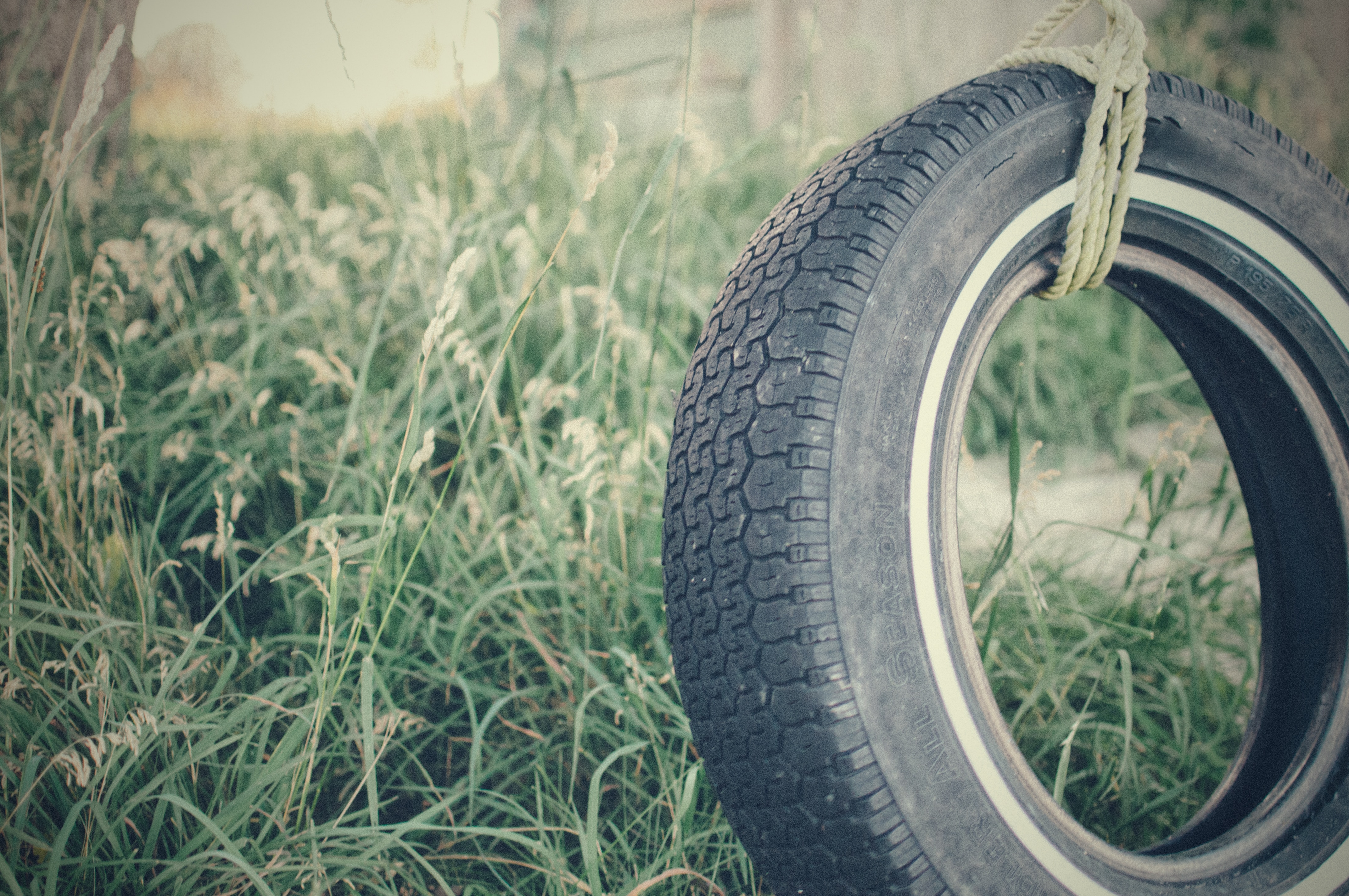swing car tire beside green grasses