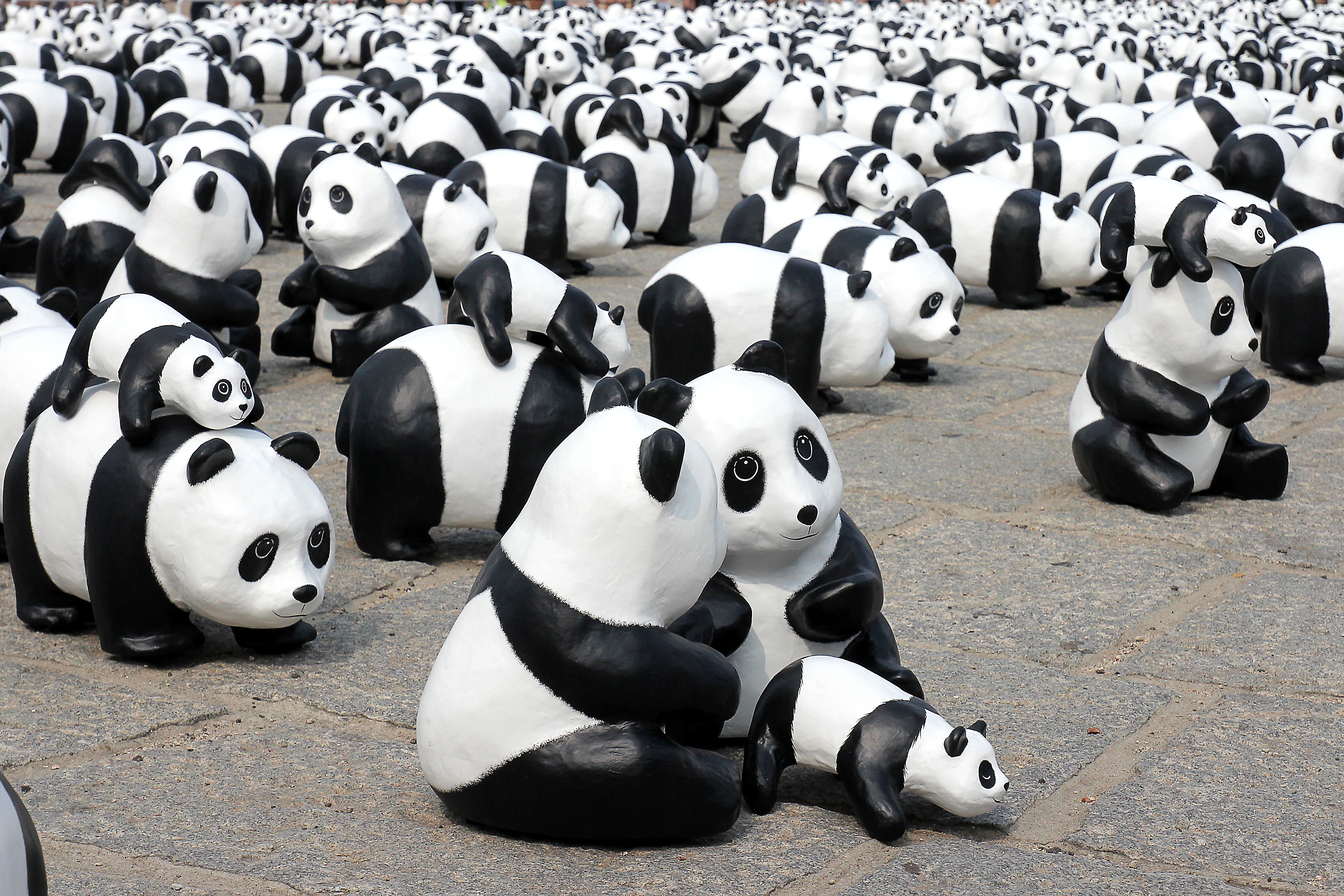 panda figurine lot