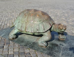 gray turtle metal statue thumbnail
