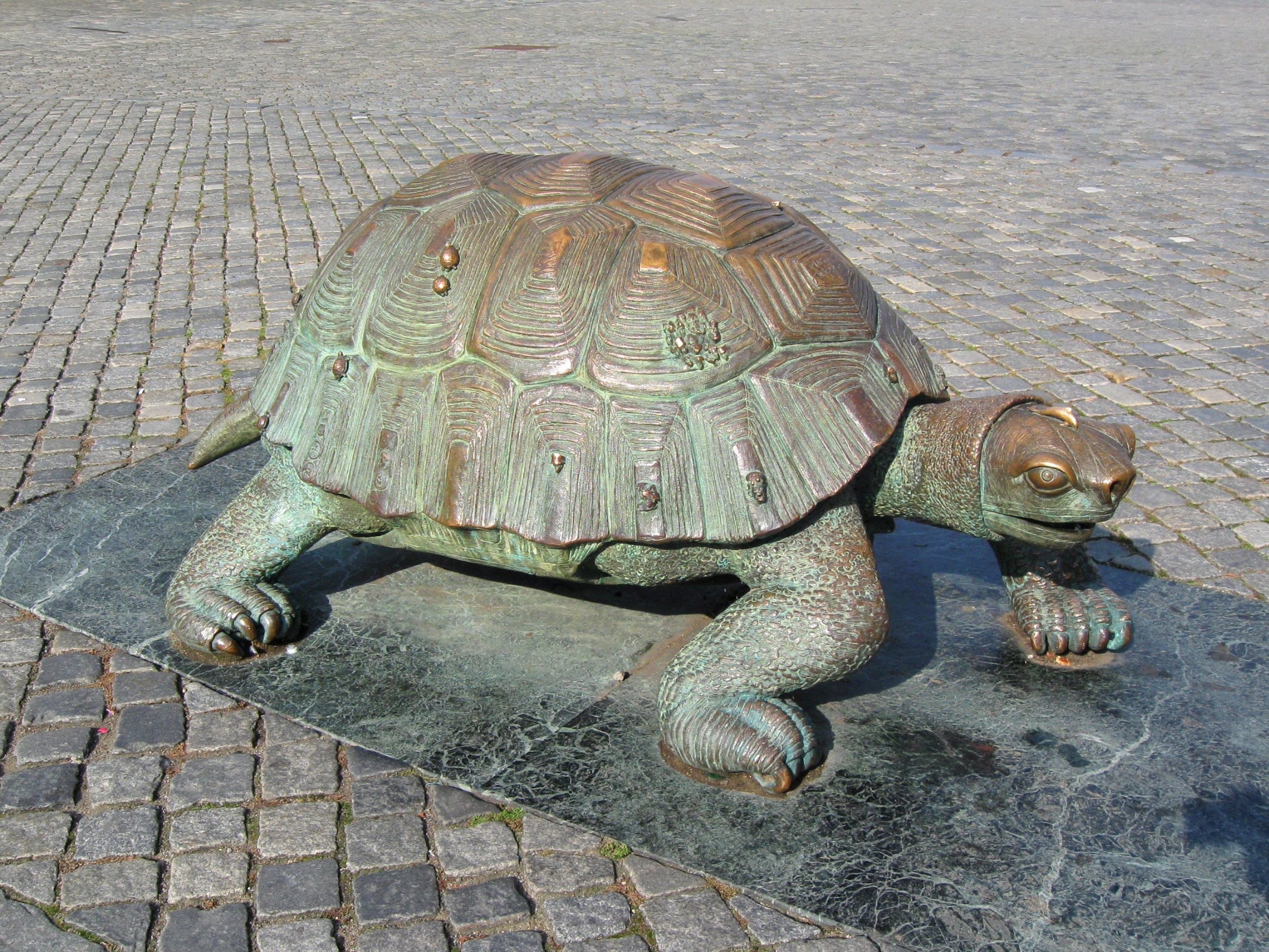 gray turtle metal statue