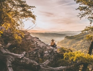 person wearing hat and yellow shirt sitting near cliff and tree thumbnail