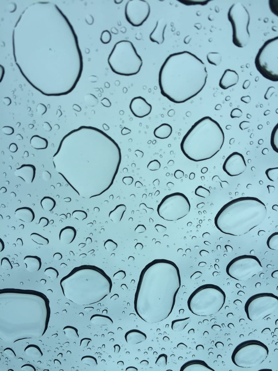Rain, Drop, Nature, Water, Background, drop, transparent preview