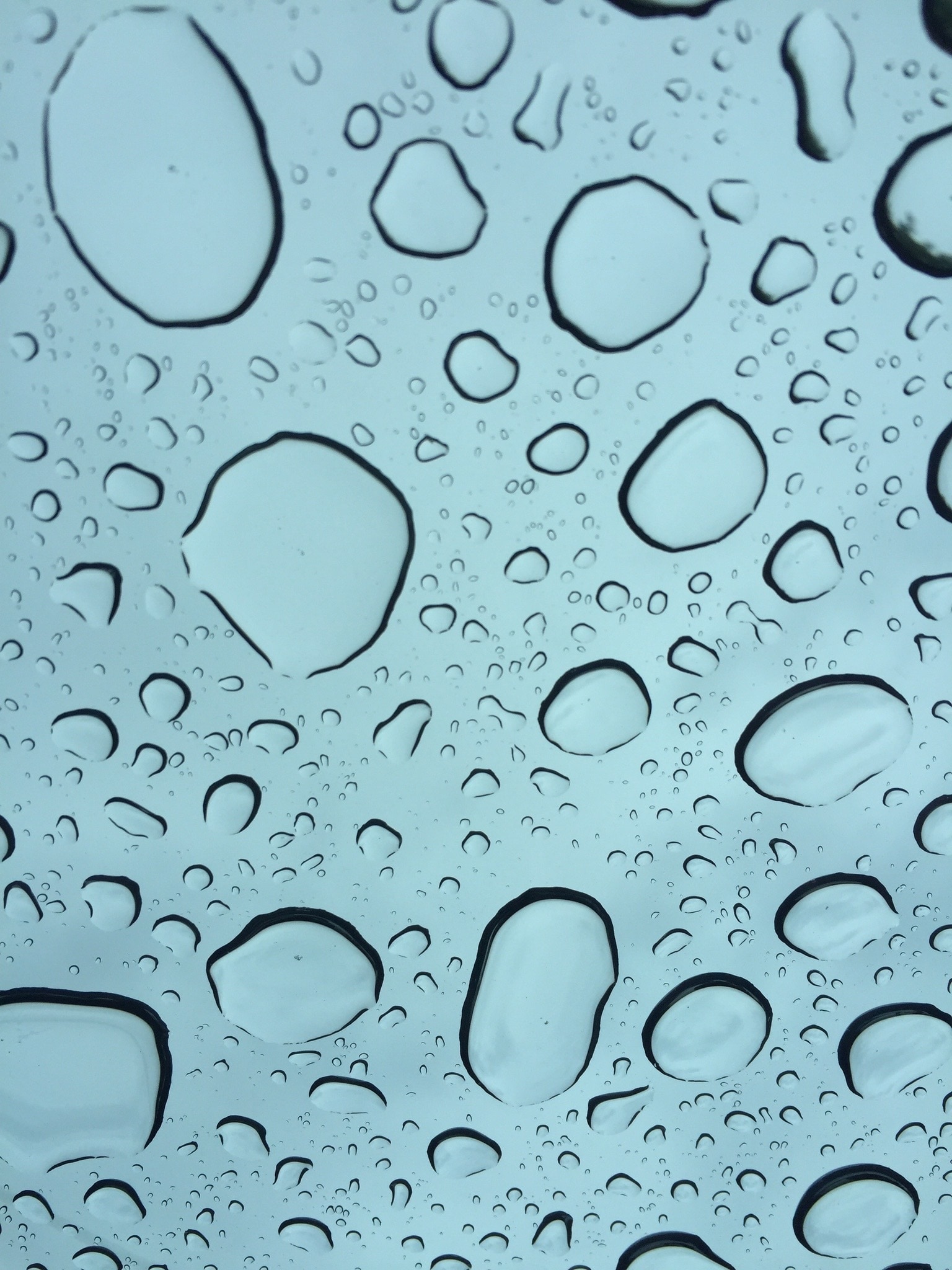 Rain, Drop, Nature, Water, Background, drop, transparent