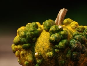 green and yellow fruit thumbnail