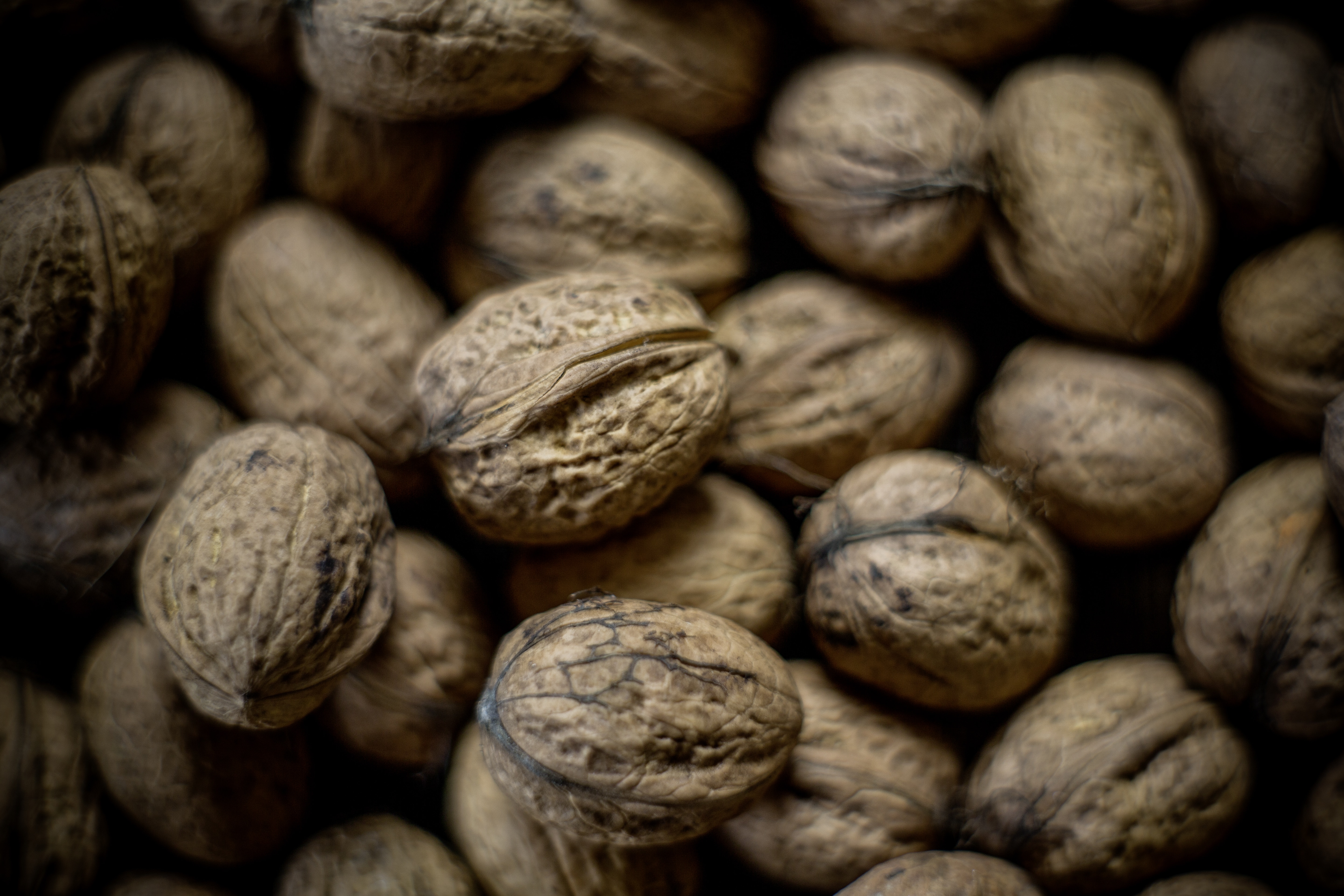 closeup photography of beans