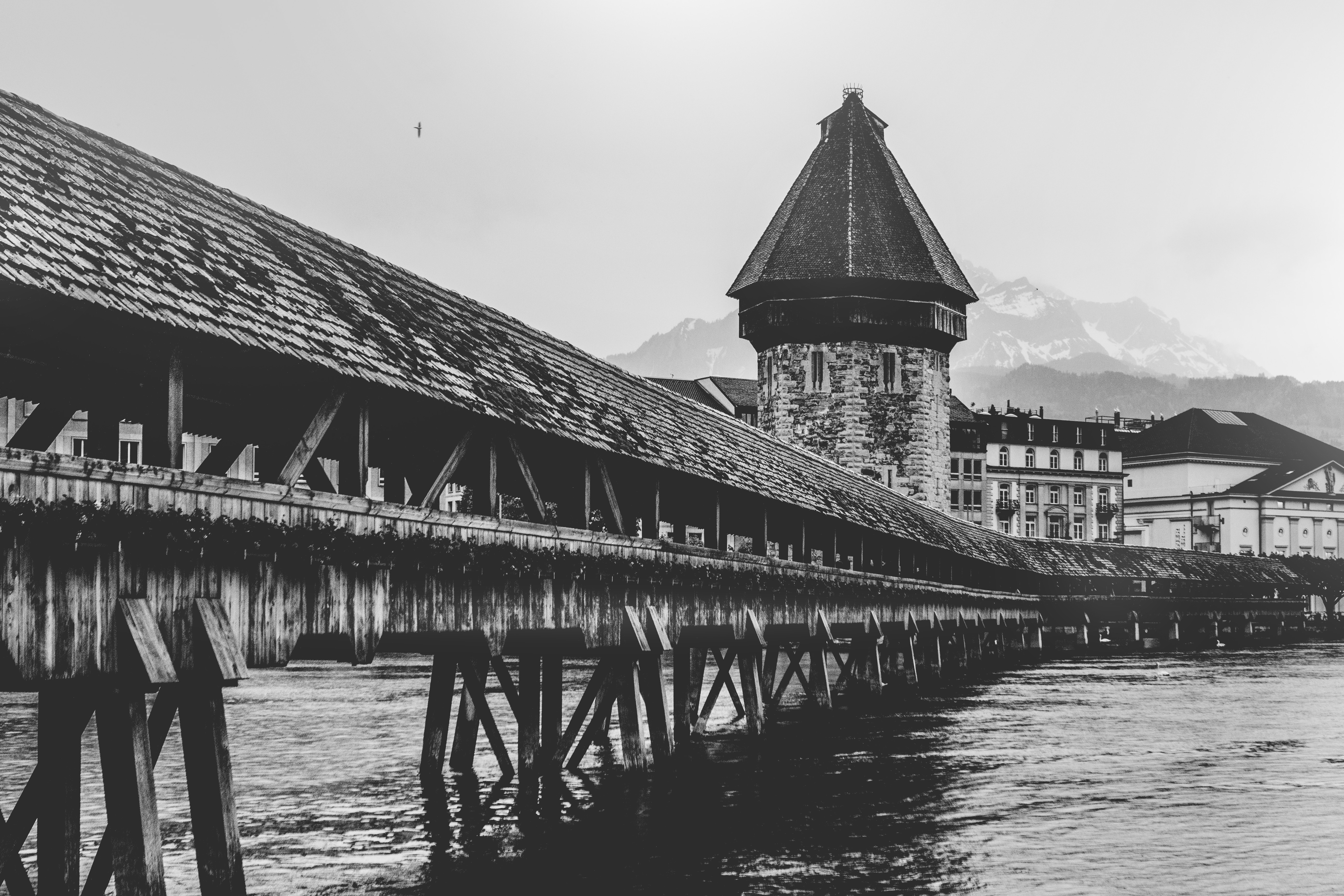 greyscale photography of wooden bridge