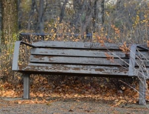 gray wooden bench seat thumbnail