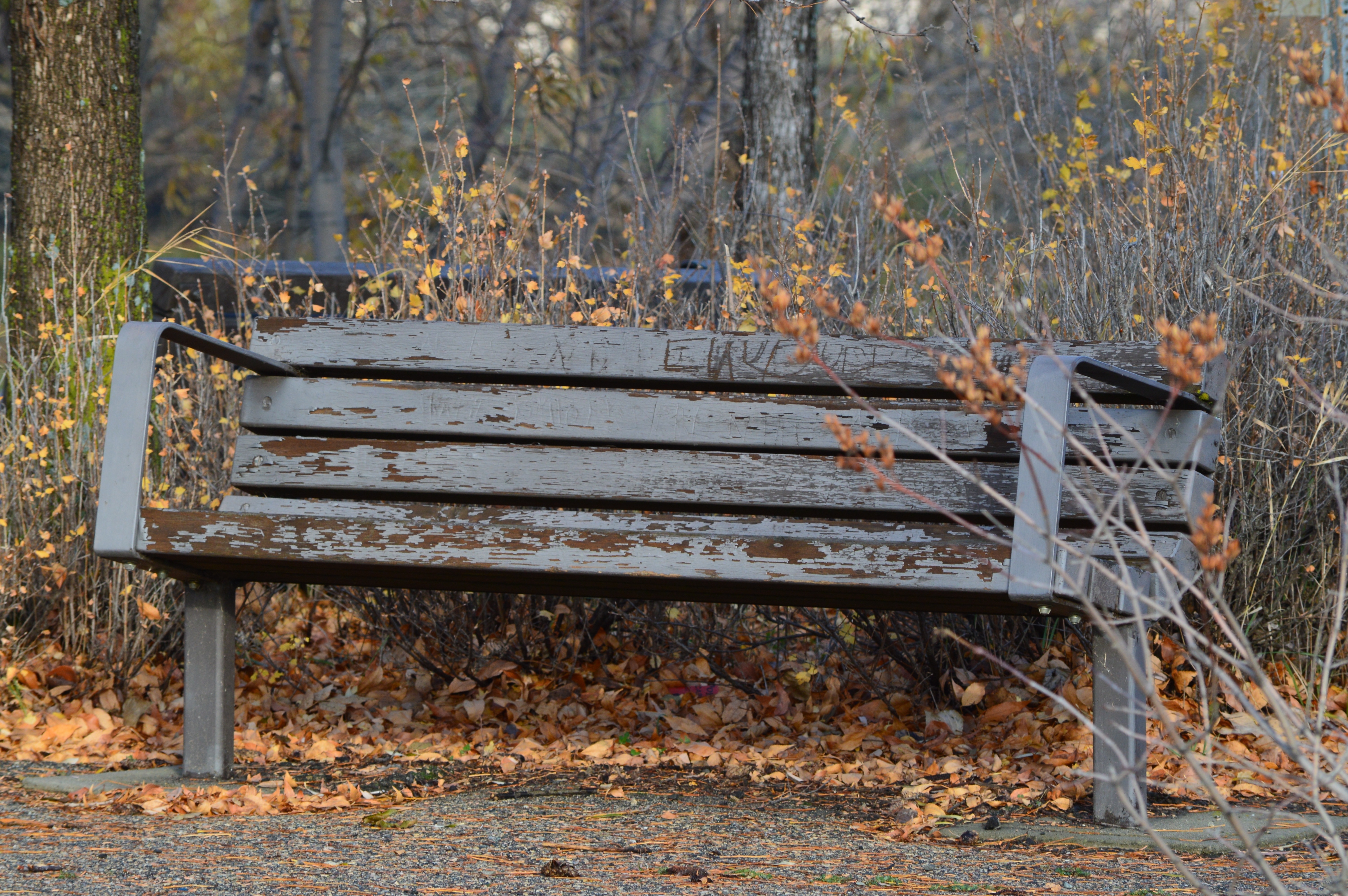 gray wooden bench seat