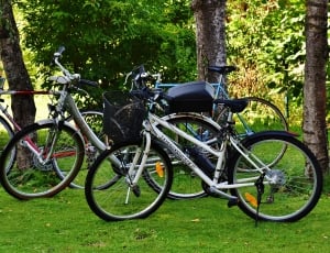 4 assorted bicycles thumbnail