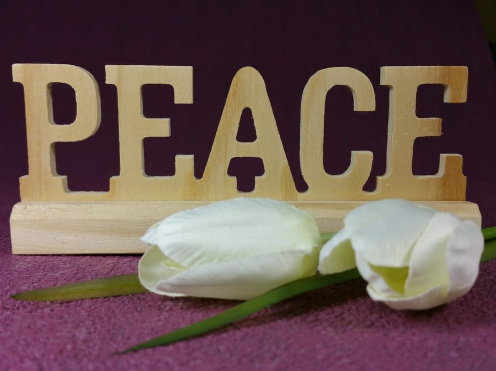 two white tulip flowers and brown wooden peace freestanding letters preview