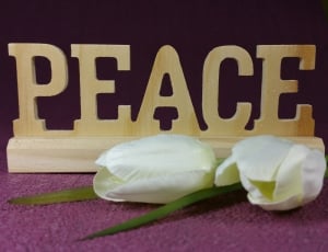 two white tulip flowers and brown wooden peace freestanding letters thumbnail