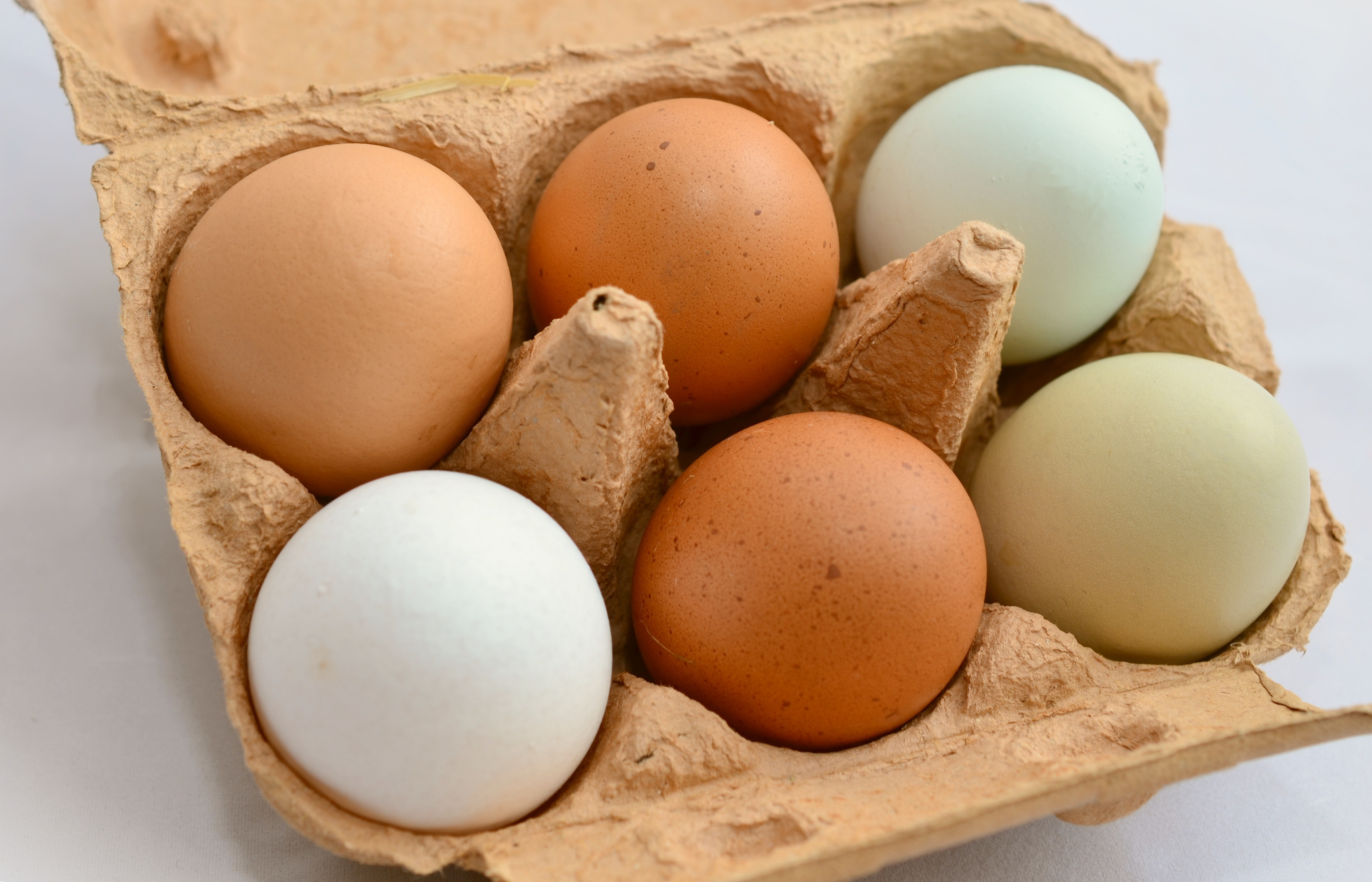 Яйца качка. Коричневое яйцо. Цвет скорлупы куриных яиц. Коричневые и белые яйца. Яйцо куриное белое и коричневое.