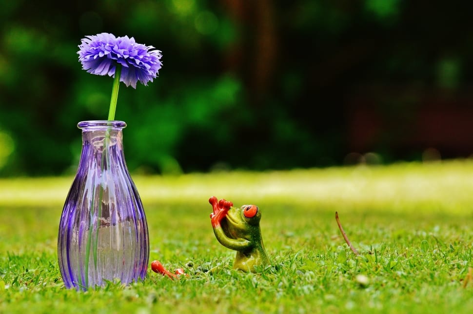 frog figurine beside purple bottle with flower preview